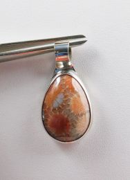 Pendant, fossil coral, pear shape in sterling silver