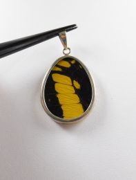 Pendant, butterfly-wing, large in sterling silver, gold & black