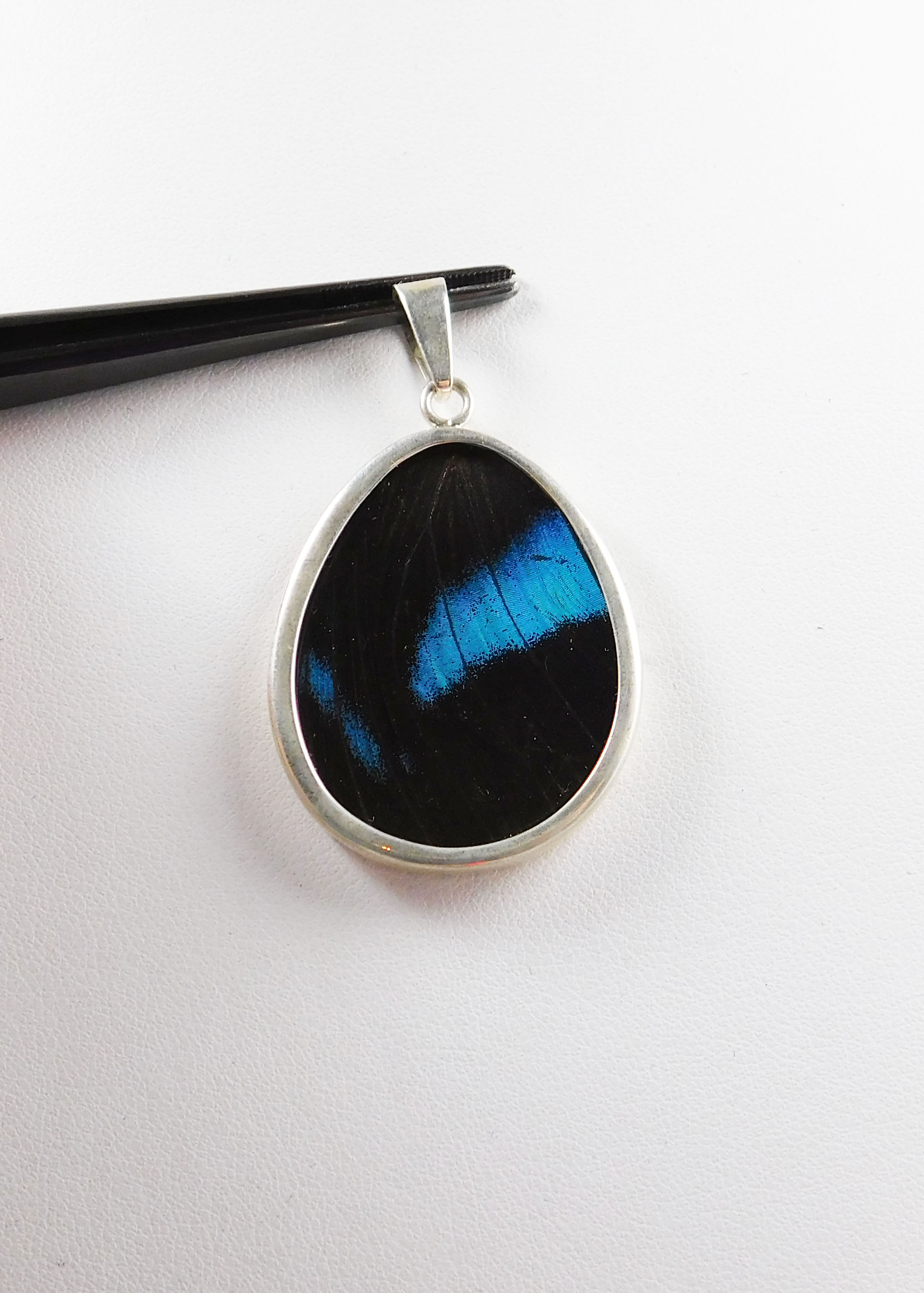 Pendant, Butterfly-wing, large in sterling silver, blue black