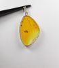 Pendant, Butterfly-wing, large in sterling silver, wing-shape, yellow & orange