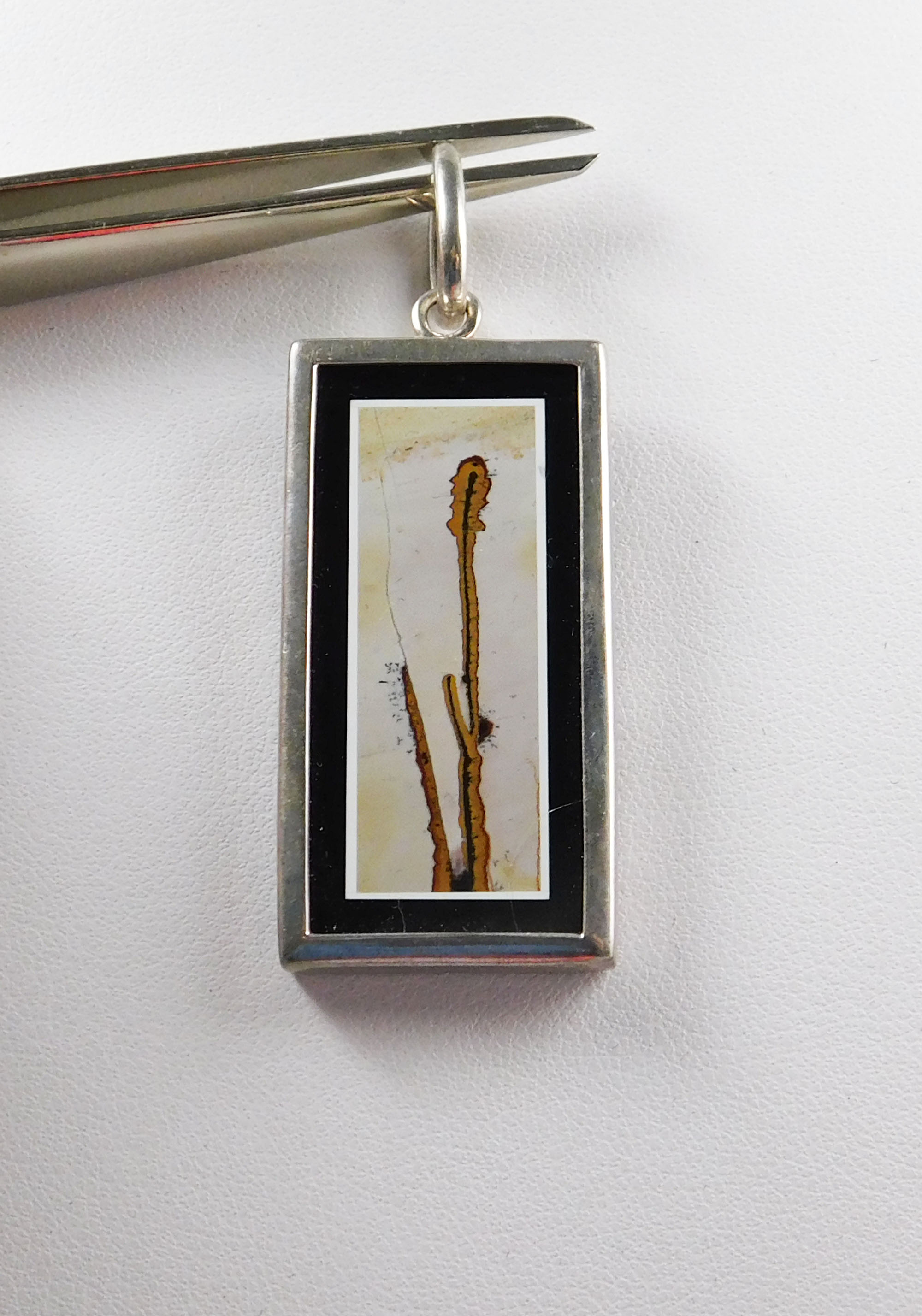 Pendant, Nature's Paintbrush, sterling silver, framed
